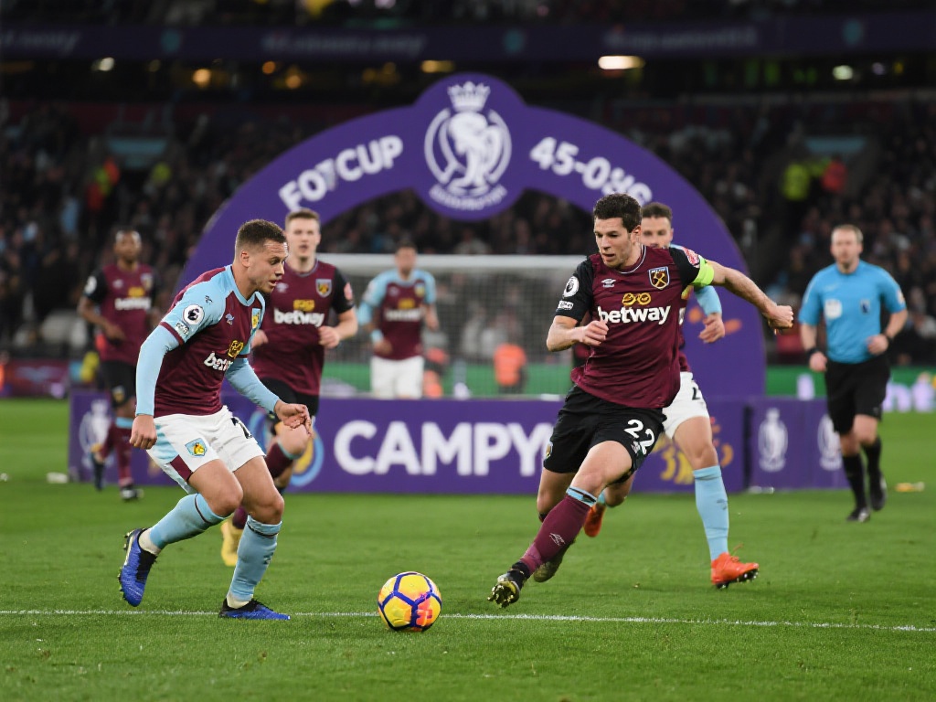 为用户提供 为用户提供