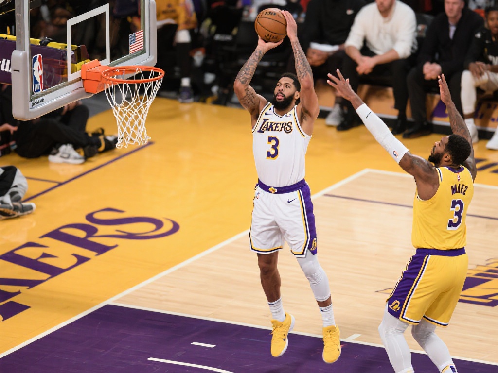 台的牌照信 台的牌照信